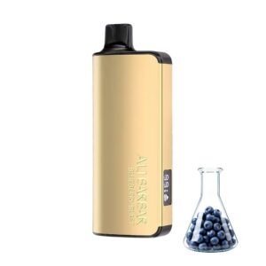 ALIBARBAR INGOT 9000 - Blueberry Blast